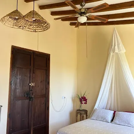 Zinc Mutxamel (Muchamiel)