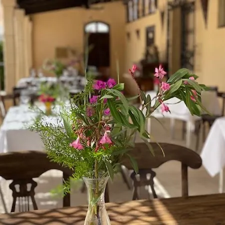 Locanda Zinc Mutxamel