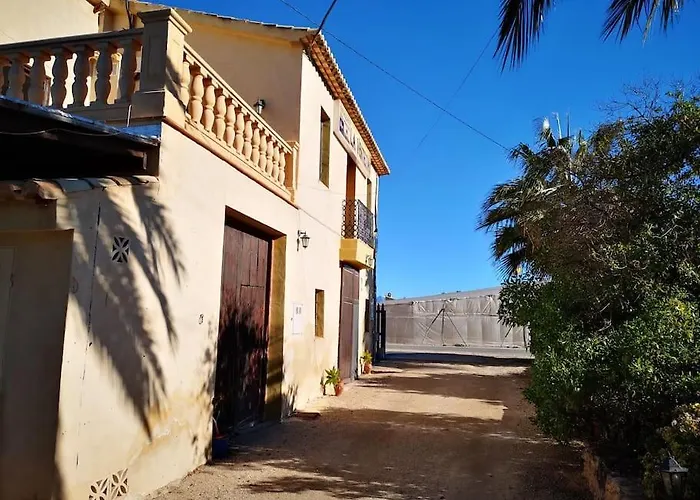 Zinc Мучамель