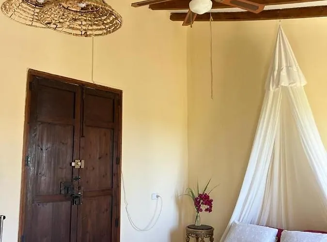 Zinc Мучамель